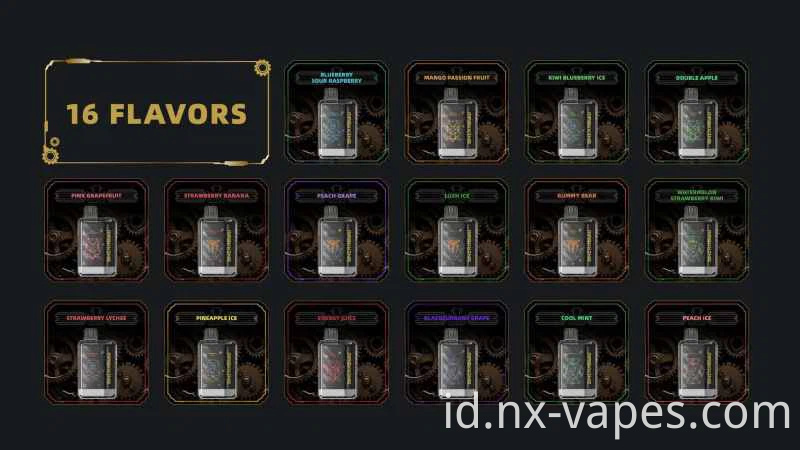 Maskking XTRO 10000 (2)